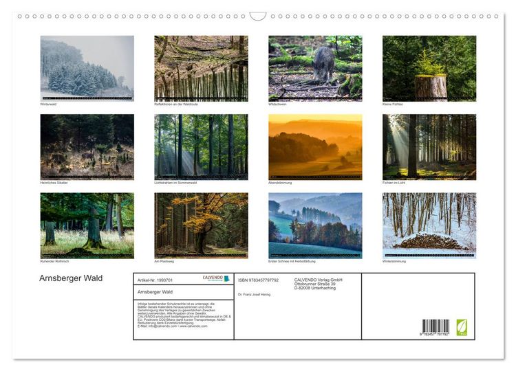 Produktbild: Arnsberger Wald (Wandkalender 2026 DIN A2 quer), CALVENDO Monatskalender