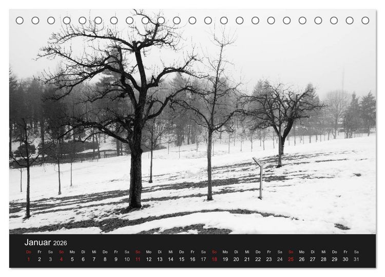Produktbild: B&auml;ume trees 2026 (Tischkalender 2026 DIN A5 quer), CALVENDO Monatskalender