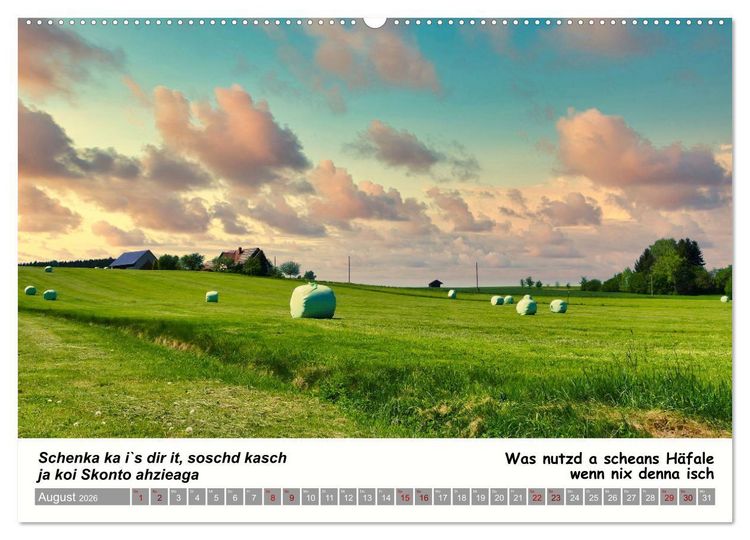 Produktbild: 03 Schw&auml;bische Sprichw&ouml;rter - D&ouml;s au no! (Wandkalender 2026 DIN A2 quer), CALVENDO Monatskalender
