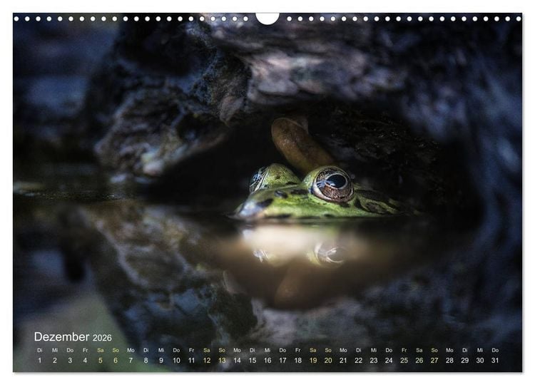 Produktbild: Fr&ouml;sche zum Verlieben (Wandkalender 2026 DIN A3 quer), CALVENDO Monatskalender