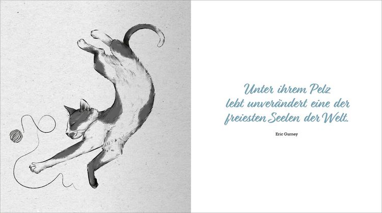 Produktbild: Kleine Katzenphilosophie