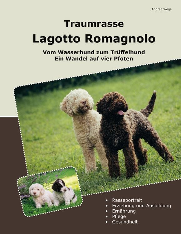Produktbild: Traumrasse Lagotto Romagnolo