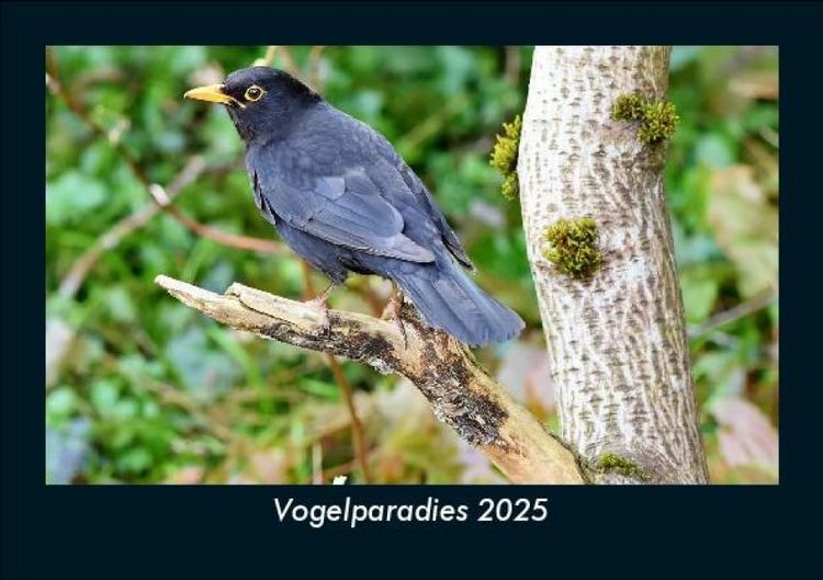 Produktbild: Vogelparadies 2025 Fotokalender DIN A5