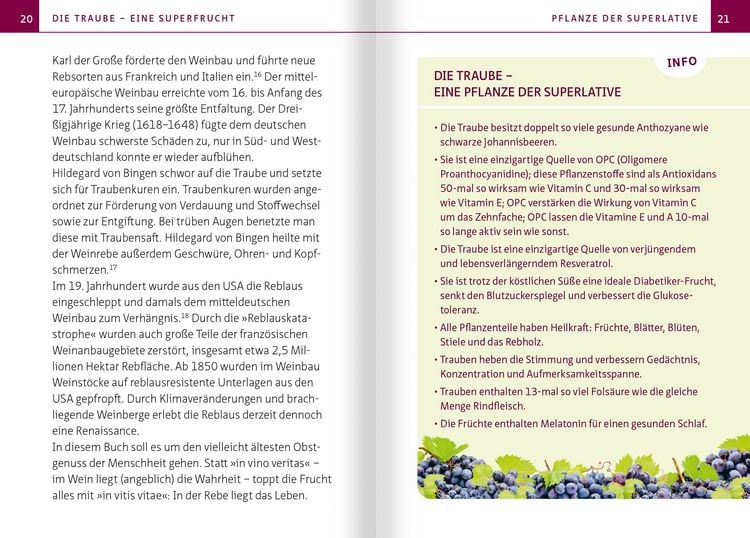 Produktbild: Traube und Weinrebe - Heilpflanze der Volksmedizin. Kompakt-Ratgeber