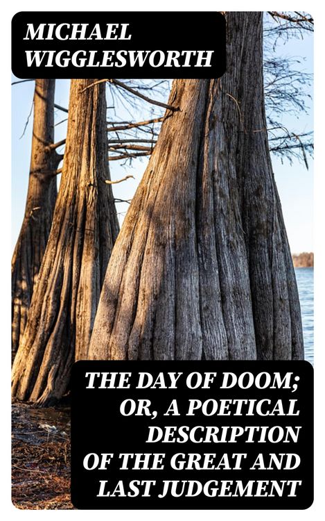 Produktbild: The Day of Doom; Or, a Poetical Description of the Great and Last Judgement