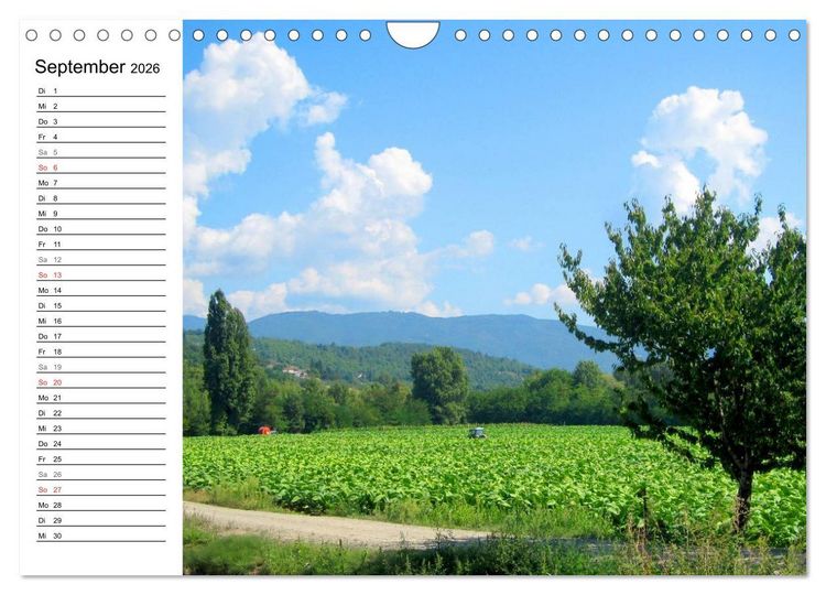 Produktbild: Franziskusweg - Camino di Assisi (Wandkalender 2026 DIN A4 quer), CALVENDO Monatskalender