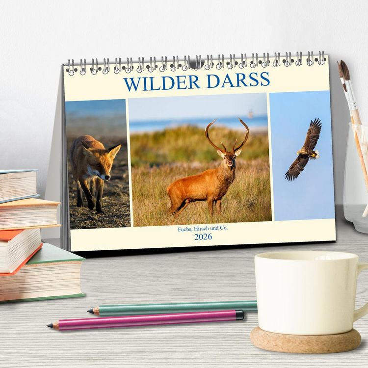 Produktbild: Wilder Dar&szlig; - Fuchs, Hirsch und Co. 2026 (Tischkalender 2026 DIN A5 quer), CALVENDO Monatskalender