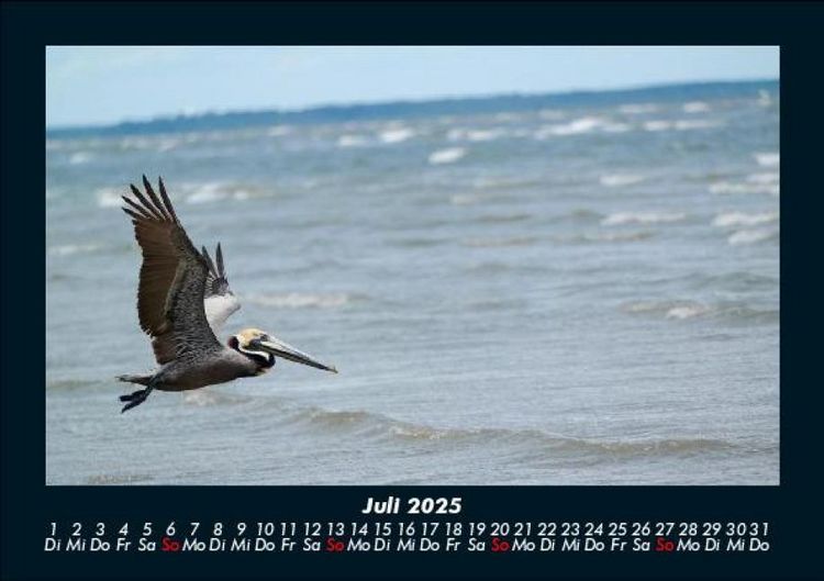 Produktbild: Naturlandschaften 2025 Fotokalender DIN A5