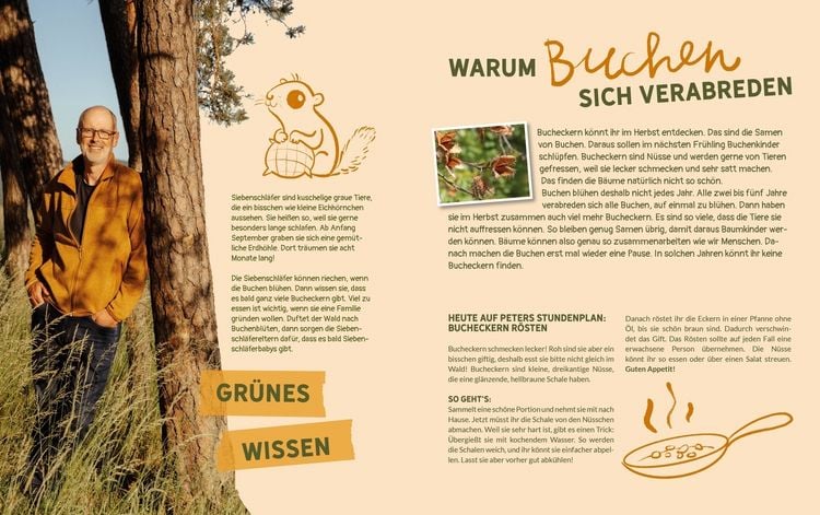 Produktbild: Peter Wohllebens Schule des Waldes