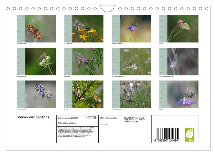 Produktbild: Merveilleux papillons (Calendrier mural 2026 DIN A4 vertical), CALVENDO calendrier mensuel
