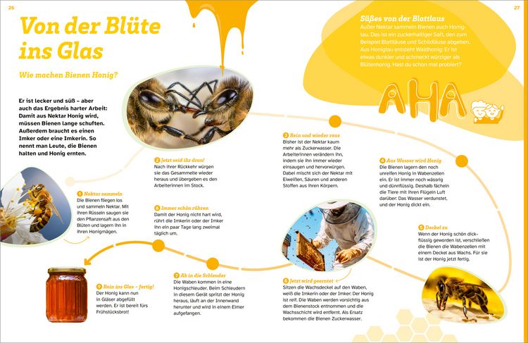 Produktbild: WAS IST WAS Bienen. Summende Genies