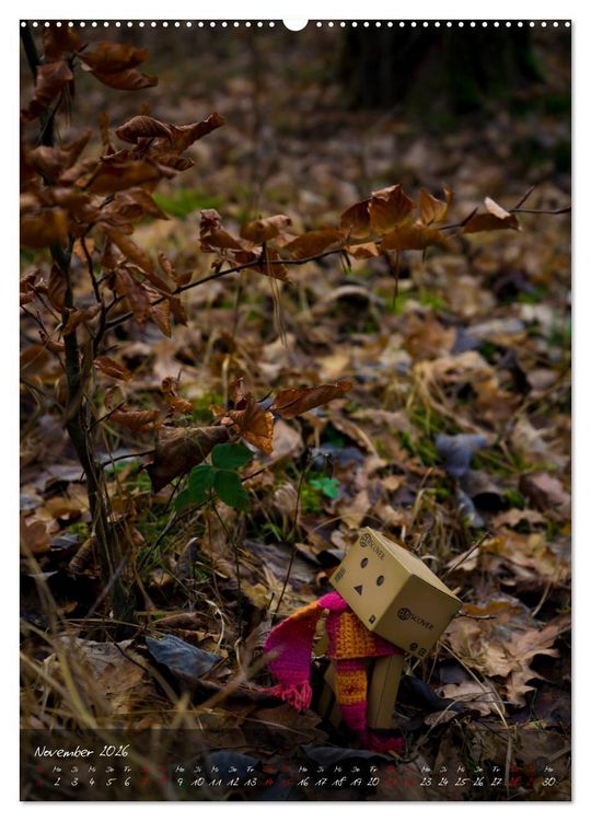 Produktbild: Ein Jahr voller Danbo (Wandkalender 2026 DIN A2 hoch), CALVENDO Monatskalender