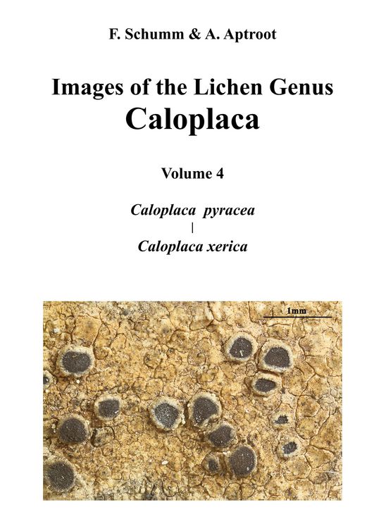 Produktbild: Images of the Lichen Genus Caloplaca, Vol4