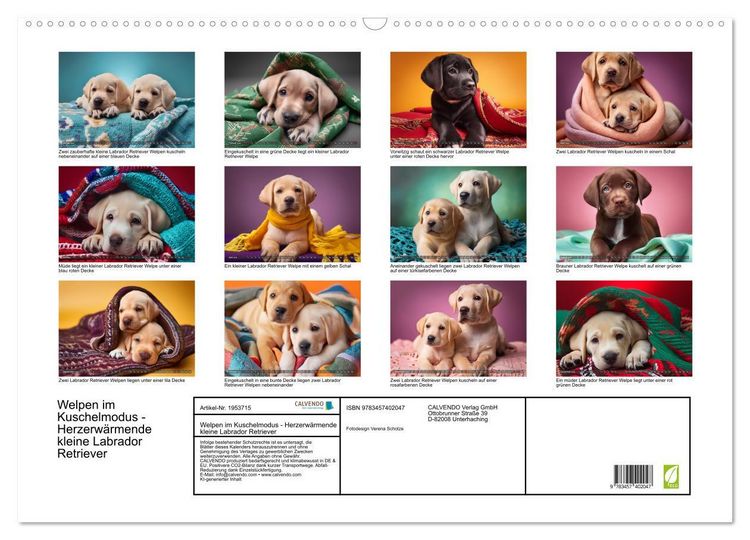 Produktbild: Welpen im Kuschelmodus - Herzerw&auml;rmende kleine Labrador Retriever (Wandkalender 2026 DIN A2 quer), CALVENDO Monatskalender
