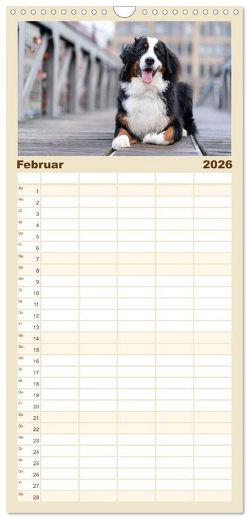 Produktbild: Familienplaner 2026 - Hunde in der City - Unterwegs in Hamburg mit 5 Spalten (Wandkalender, 21 x 45 cm) CALVENDO
