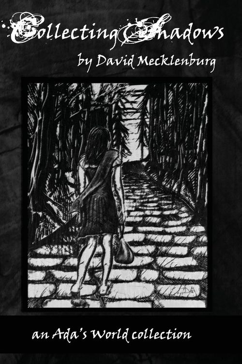 Produktbild: Collecting Shadows