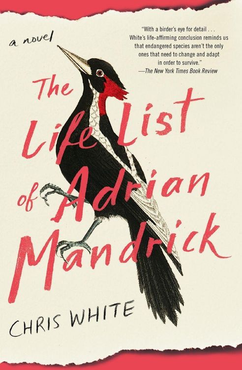 Produktbild: The Life List of Adrian Mandrick