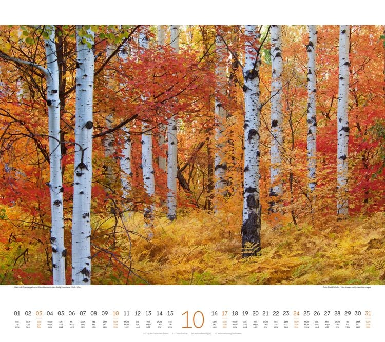 Produktbild: Wald Kalender 2027