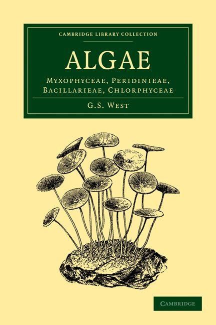 Produktbild: Algae