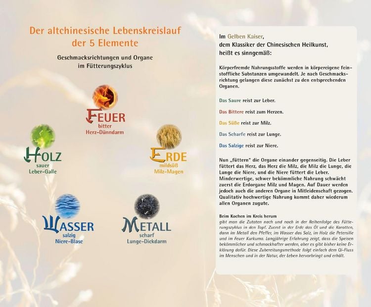 Produktbild: Mit der 5-Elemente-Ern&auml;hrung zur Wohlf&uuml;hlfigur