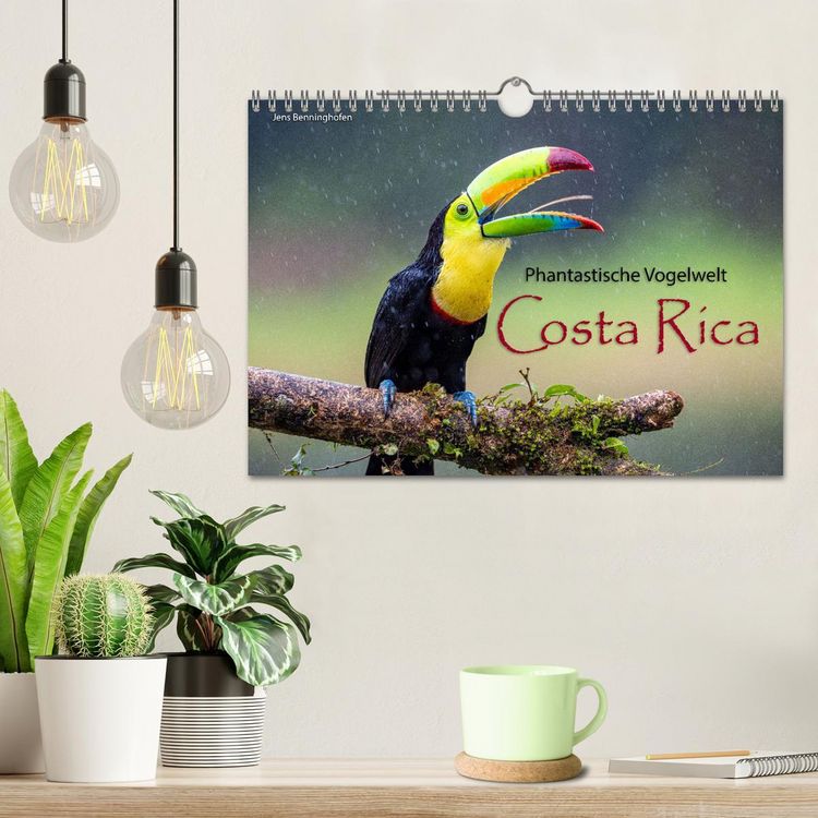 Produktbild: Phantastische Vogelwelt Costa Rica (Wandkalender 2026 DIN A4 quer), CALVENDO Monatskalender