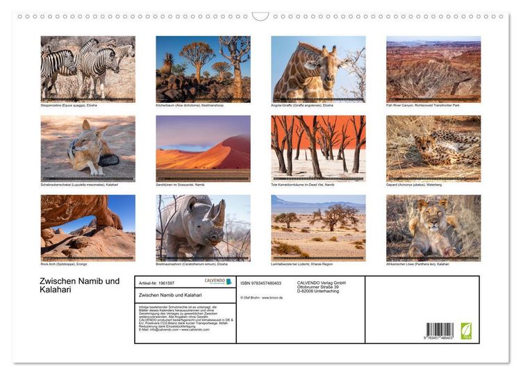 Produktbild: Zwischen Namib und Kalahari (Wandkalender 2026 DIN A2 quer), CALVENDO Monatskalender