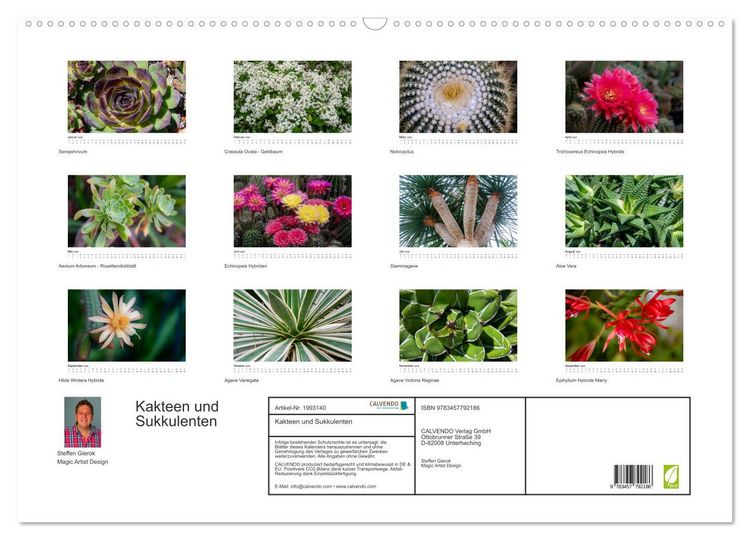 Produktbild: Kakteen und Sukkulenten (Wandkalender 2026 DIN A2 quer), CALVENDO Monatskalender