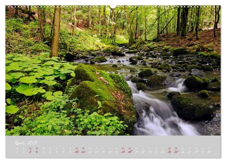 Produktbild: Th&uuml;ringer Wald Das Gr&uuml;ne Herz Deutschlands (hochwertiger Premium Wandkalender 2027 DIN A2 quer), Kunstdruck in Hochglanz