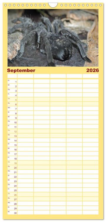 Produktbild: Familienplaner 2026 - Vogelspinnen mit 5 Spalten (Wandkalender, 21 x 45 cm) CALVENDO