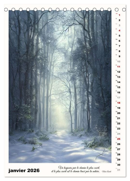 Produktbild: Chemins de fantaisie (Calendrier de bureau 2026 DIN A5 horizontal), CALVENDO calendrier mensuel