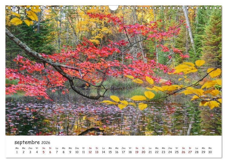 Produktbild: Automne haut en couleurs (Calendrier mural 2026 DIN A3 vertical), CALVENDO calendrier mensuel
