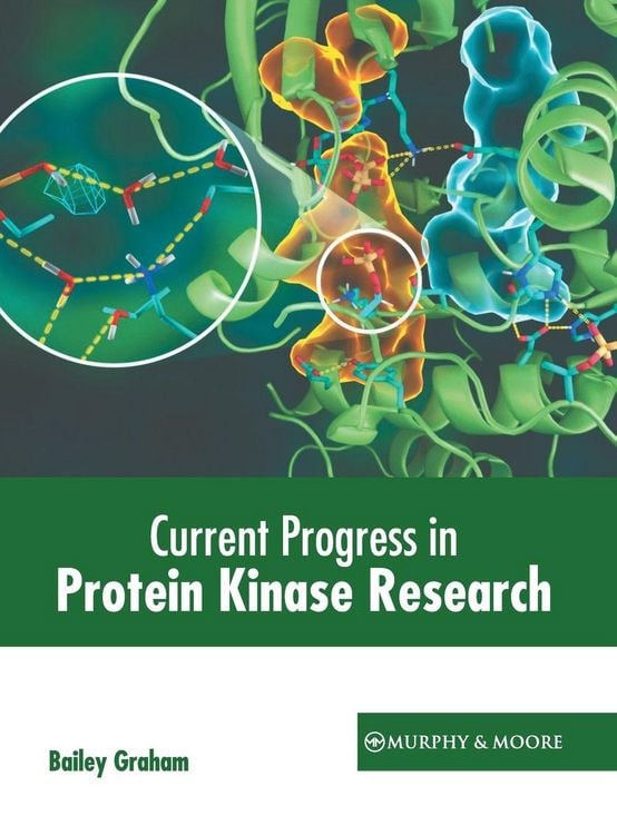 Produktbild: Current Progress in Protein Kinase Research