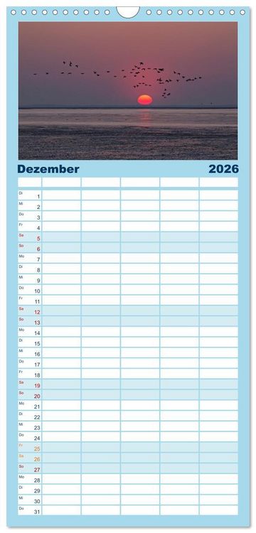 Produktbild: Familienplaner 2026 - V&ouml;gel im Flug - Akrobaten der L&uuml;fte mit 5 Spalten (Wandkalender, 21 x 45 cm) CALVENDO