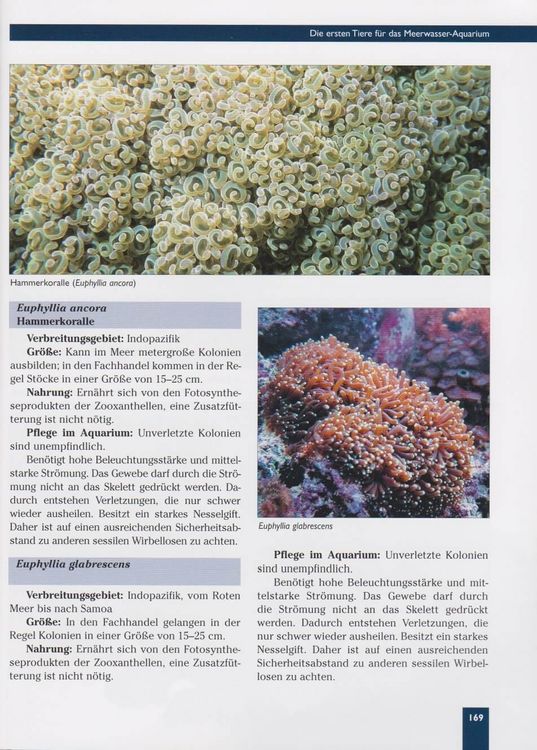 Produktbild: Das Meerwasseraquarium