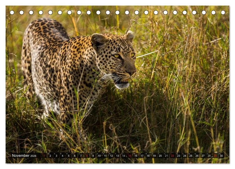 Produktbild: Kenia 2026 (Tischkalender 2026 DIN A5 quer), CALVENDO Monatskalender