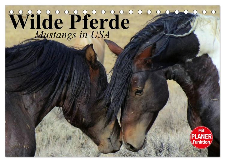Produktbild: Wilde Pferde. Mustangs in USA (Tischkalender 2026 DIN A5 quer), CALVENDO Monatskalender