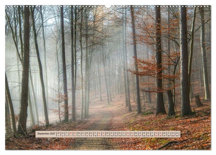 Produktbild: Nebel, Licht und Wunder (hochwertiger Premium Wandkalender 2027 DIN A2 quer), Kunstdruck in Hochglanz