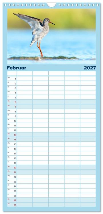 Produktbild: Familienplaner 2027 - Limikolen - Watv&ouml;gel aus Europa mit 5 Spalten (Wandkalender, 21 x 45 cm) CALVENDO