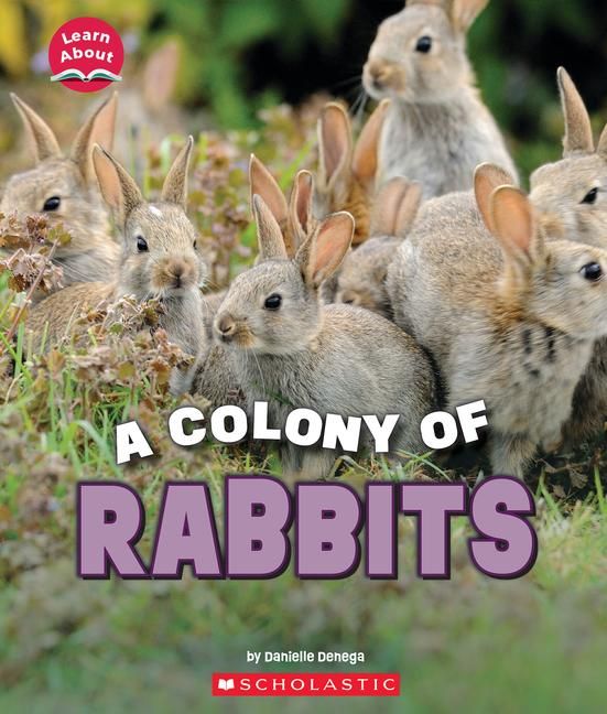 Produktbild: A Colony of Rabbits (Learn About: Animals)