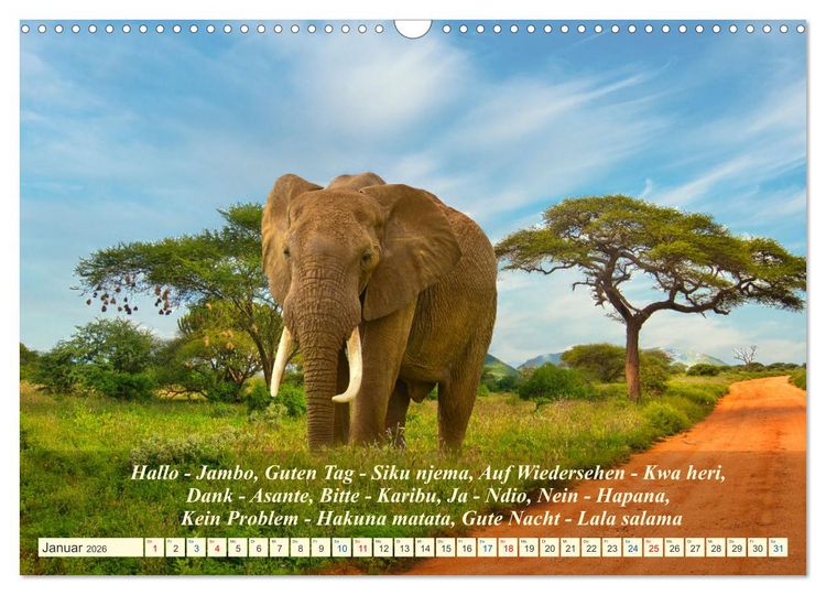 Produktbild: Jambo Kenya (Wandkalender 2026 DIN A3 quer), CALVENDO Monatskalender