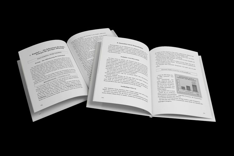 Produktbild: V.F.E.G. &ndash; Handbuch der bewussten Verbl&ouml;dung &ndash; Band 1