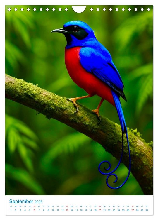 Produktbild: Blaue V&ouml;gel (Wandkalender 2026 DIN A4 hoch), CALVENDO Monatskalender