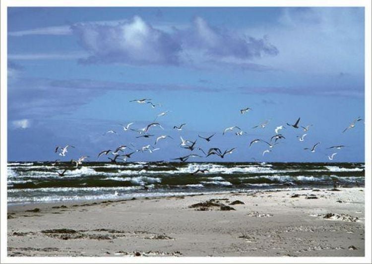 Produktbild: Bin am Meer - Postkartenbuch