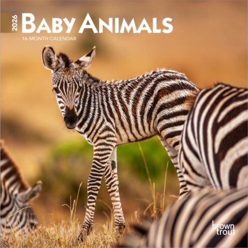 Produktbild: Baby Animals 2026 7 X 14 Inch (Hanging) Monthly Mini Wall Calendar