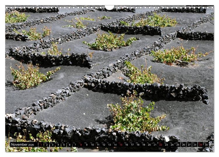 Produktbild: Lanzarote - Canary Islands (Wall Calendar 2026 DIN A3 landscape), CALVENDO 12 Month Wall Calendar