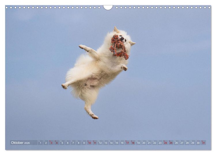 Produktbild: Mein fliegender Isl&auml;nder (Wandkalender 2026 DIN A3 quer), CALVENDO Monatskalender