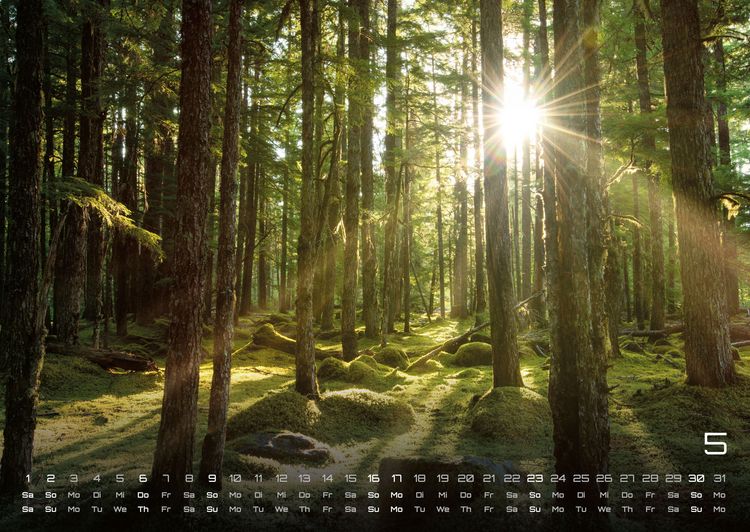 Produktbild: Moments - wundervolle Momentaufnahmen - 2027 - Kalender DIN A2