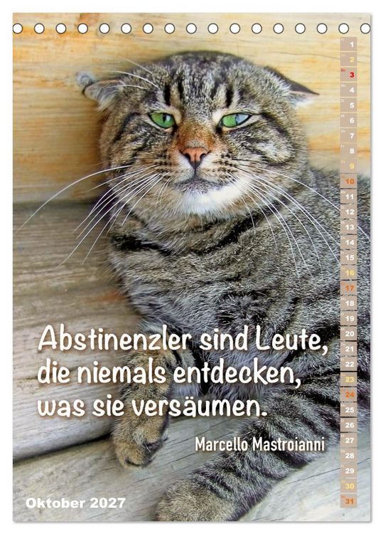 Produktbild: Der literarische Katerkalender (Tischkalender 2027 DIN A5 hoch), CALVENDO Monatskalender