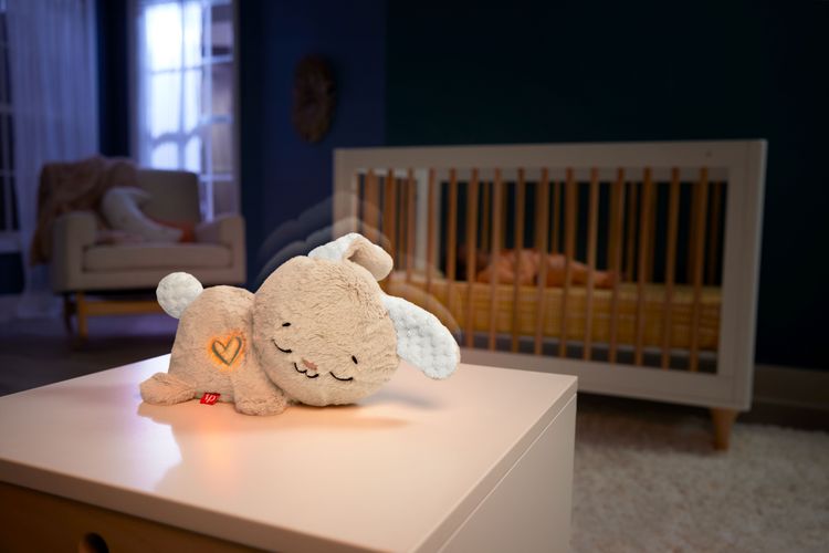 Produktbild: Fisher-Price Schlummer-H&auml;schen