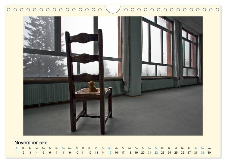 Produktbild: Herr B&auml;r urban explorer (Wandkalender 2026 DIN A4 quer), CALVENDO Monatskalender